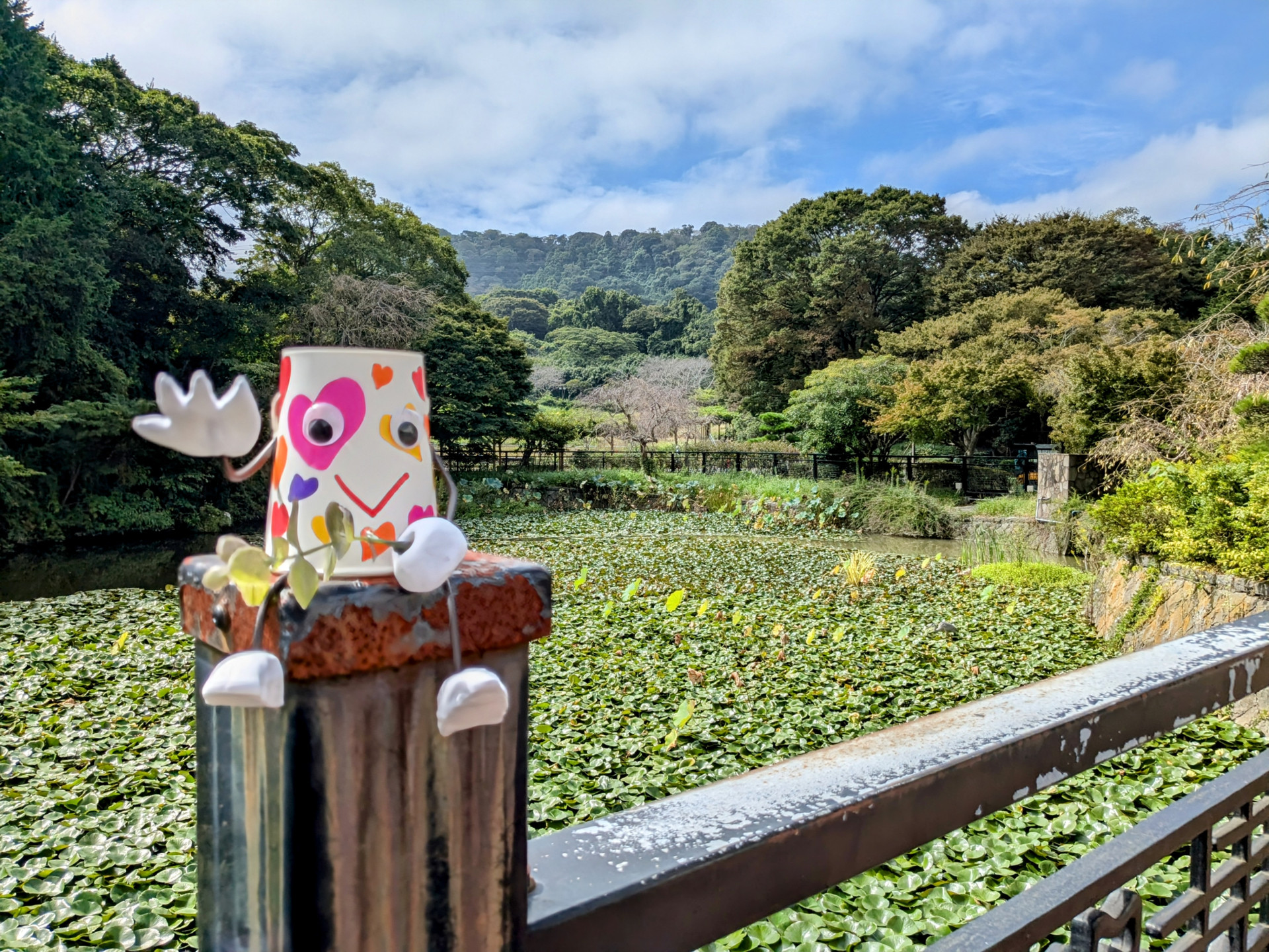 四季の花 降る里 横須賀しょうぶ園【花のコラム】